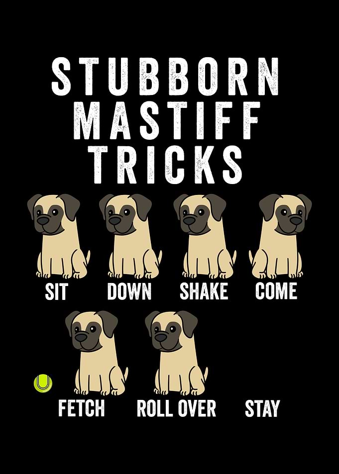 English Mastiff Tricks