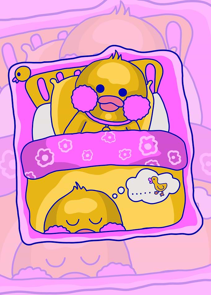 duck sleep aesthetic