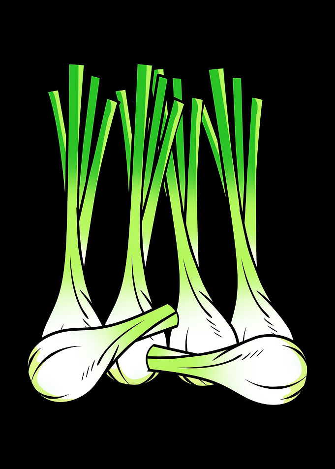Spring Onion