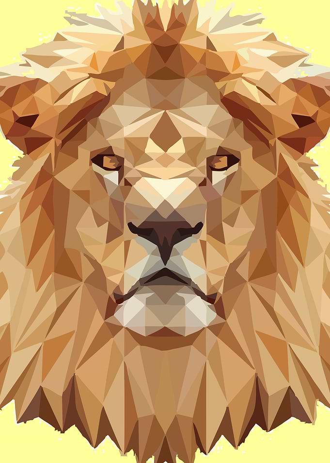 Animal Vector