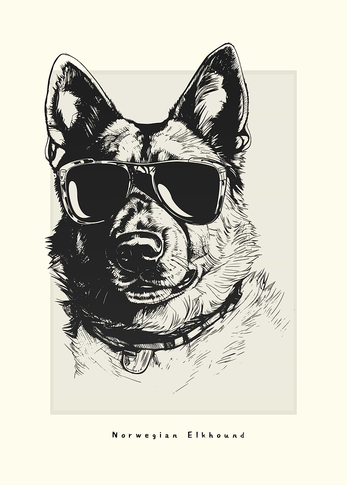 Norwegian Elkhound Sketch