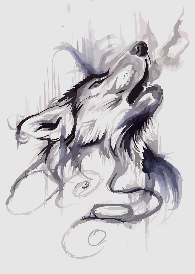 Animal Vector