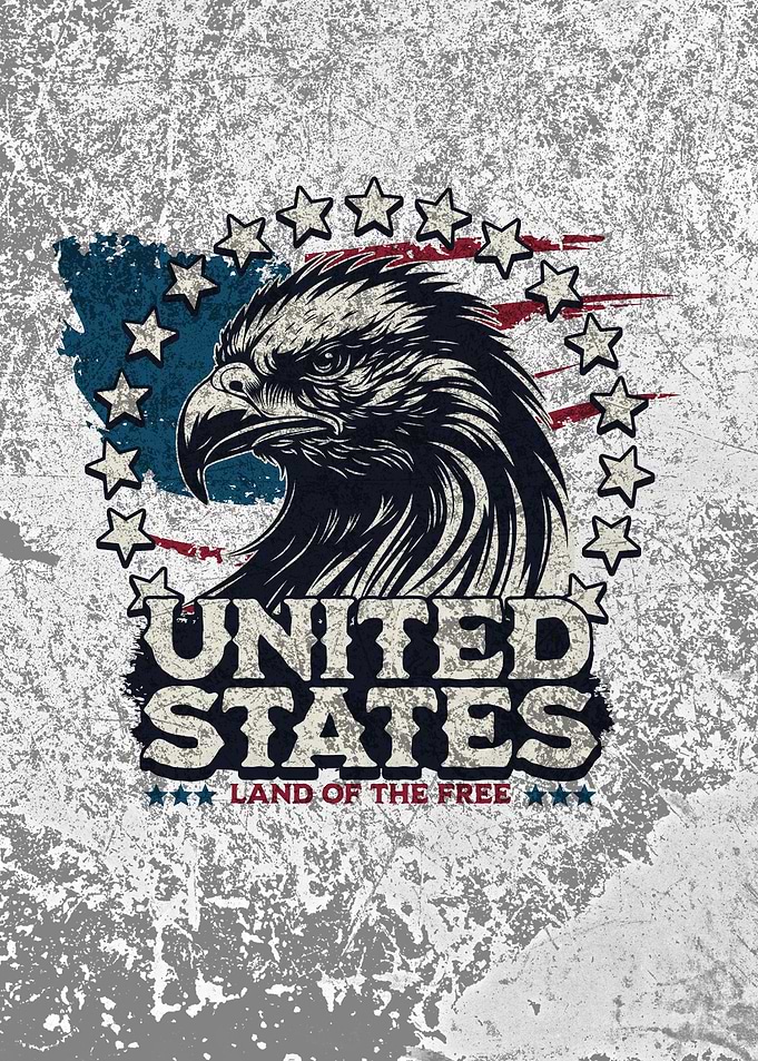 Vintage USA eagle