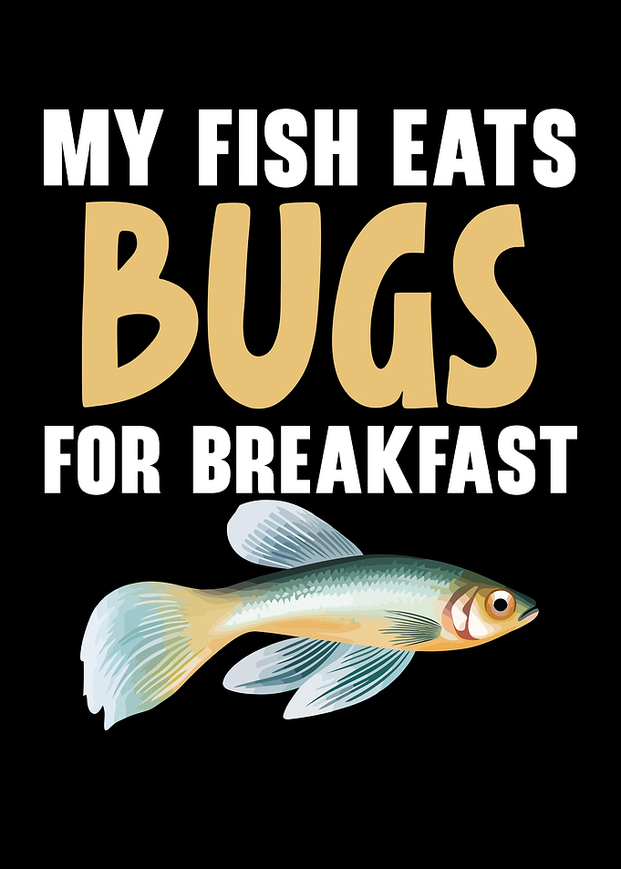 Mosquitofish Owner Fish