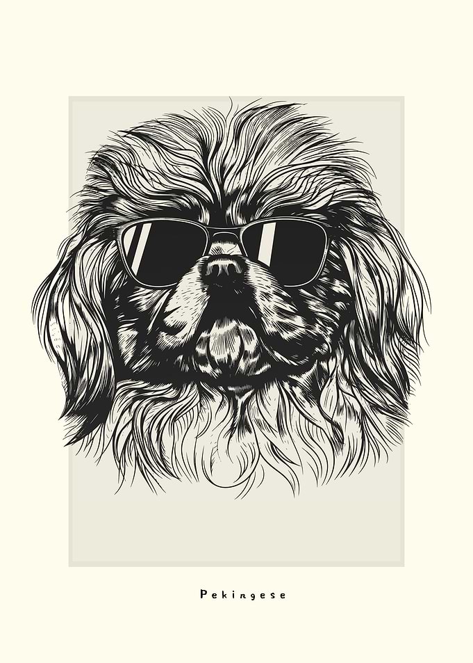 Pekingese Illustration