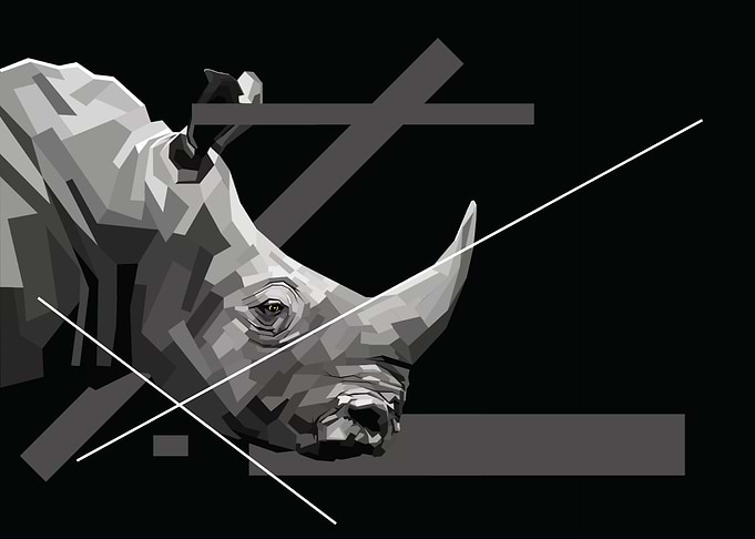 Rare One Horn Rhino