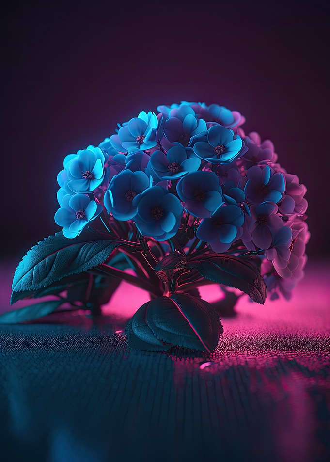 Forget Me Not Flower