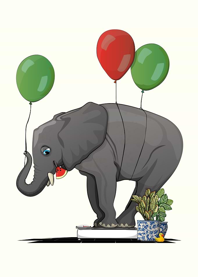 Elephant in Bathroom