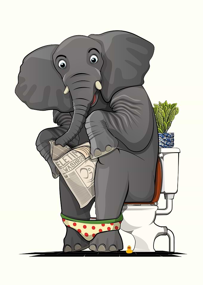 Elephant on the Toilet