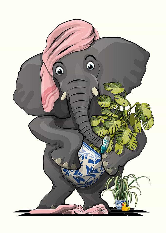 Naked Elephant in Bathroom