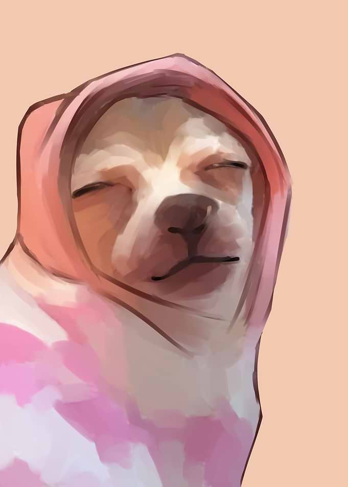 a sleepy dog