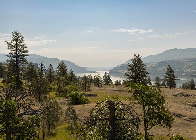 Columbia Gorge landscape