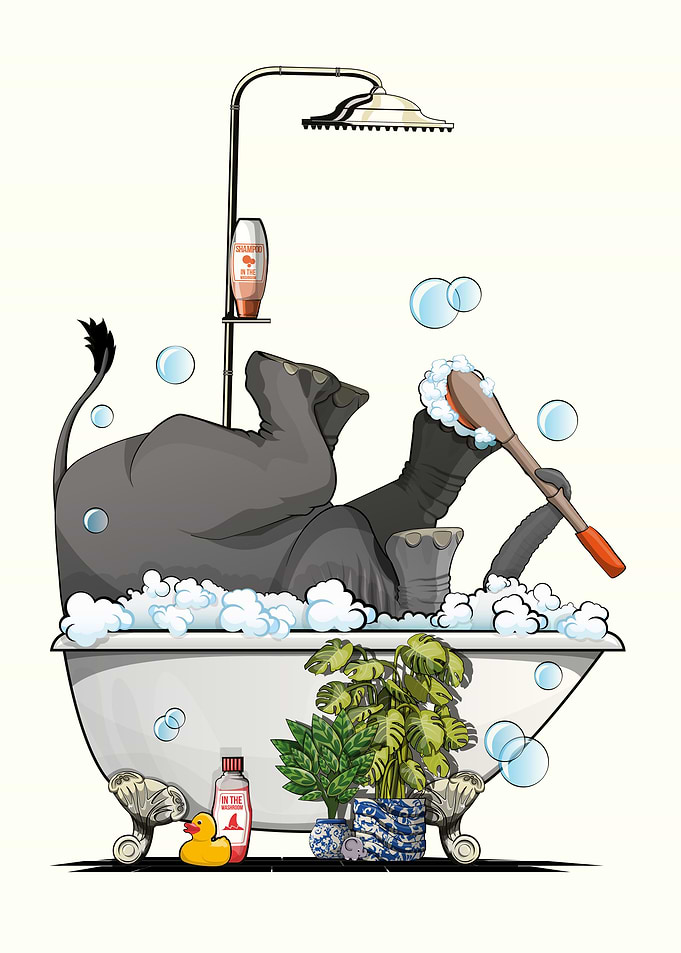 Elephant washing in Bath