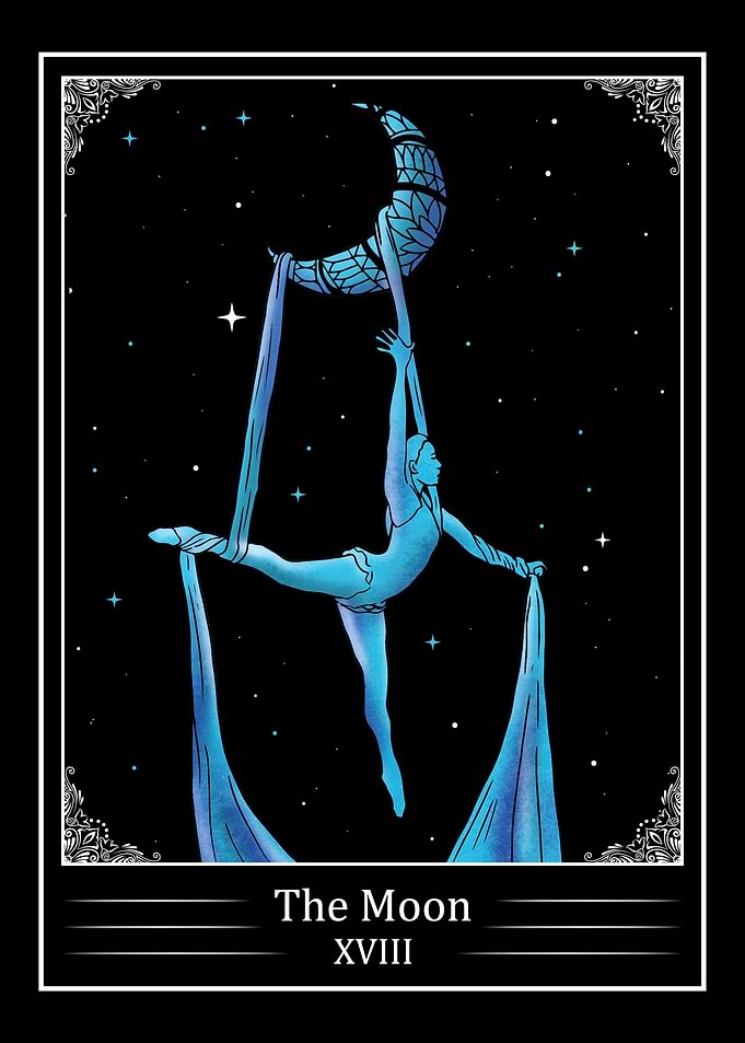Aerial Silk Aerialist