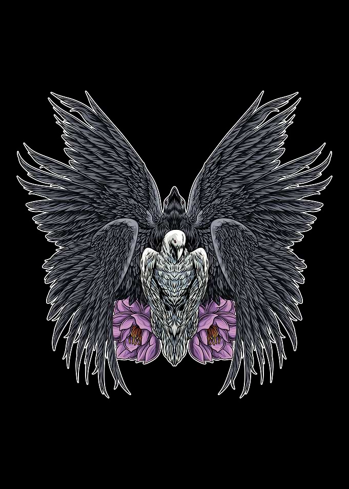 Raven Couple Illustration