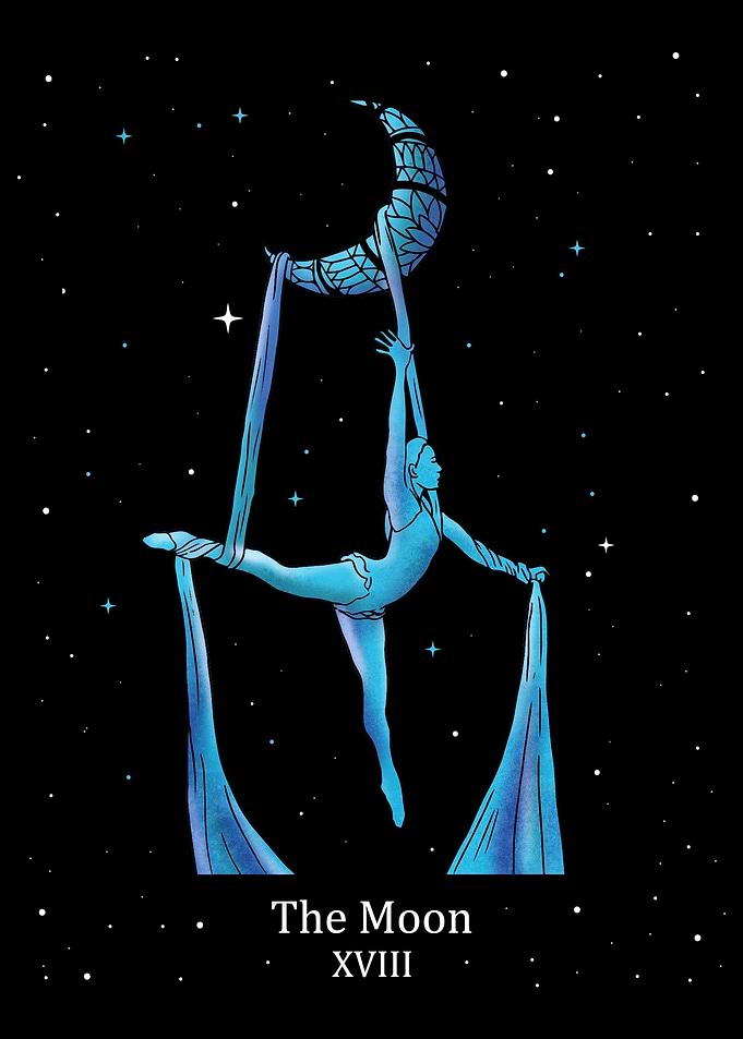 Aerial Silk Aerialist