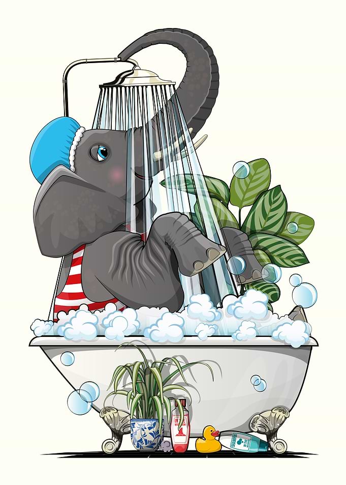 Elephant in the Bathtub