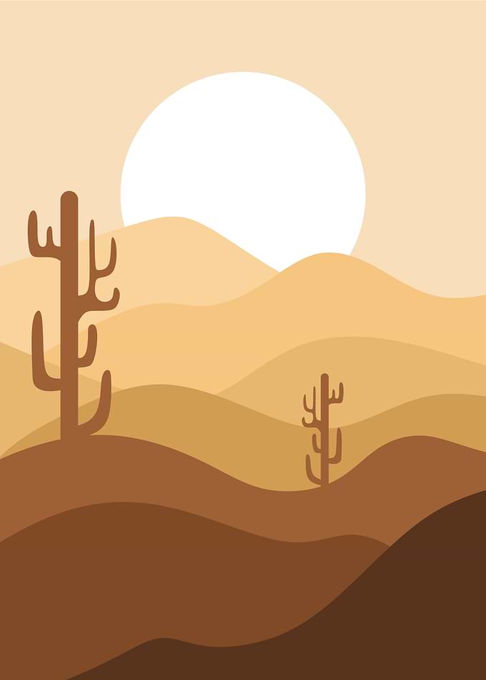 Desert Oasis