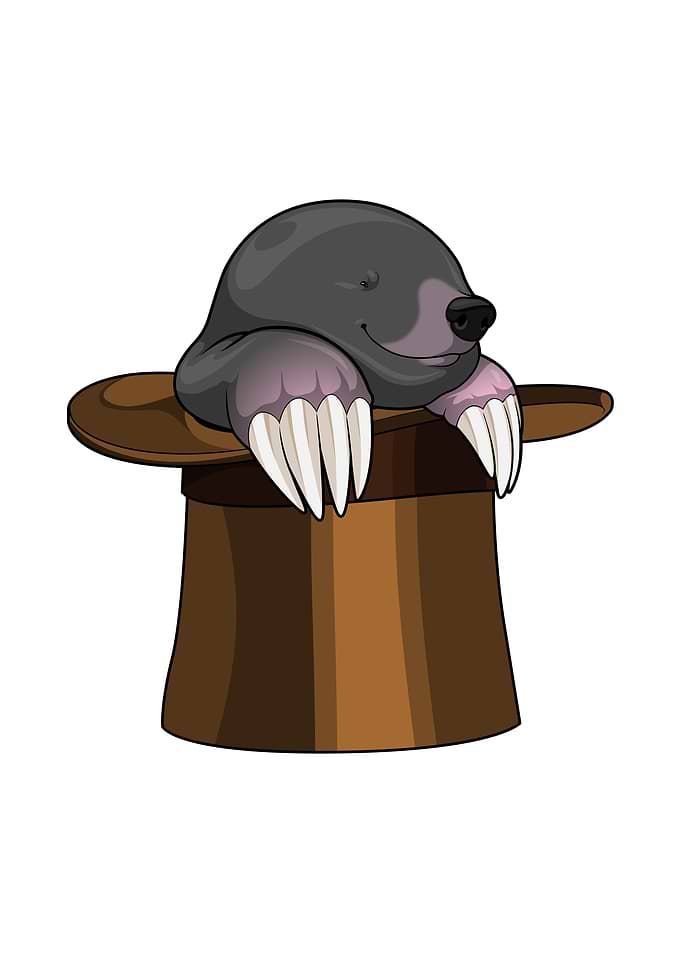Mole Cylinder