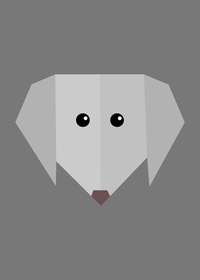 minimalism cute sheep