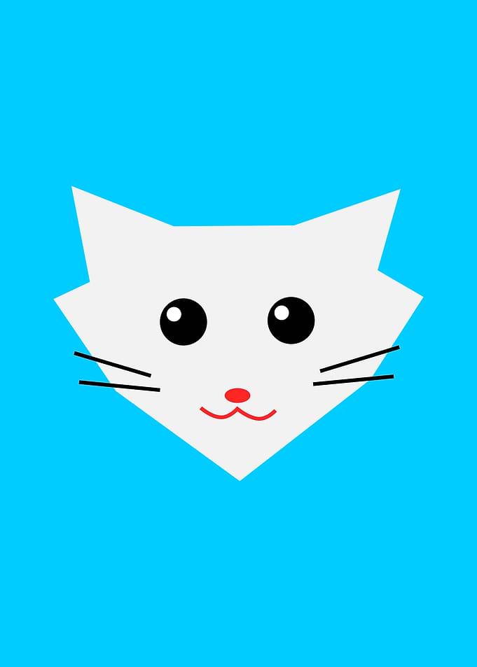 Minimalism cute cat