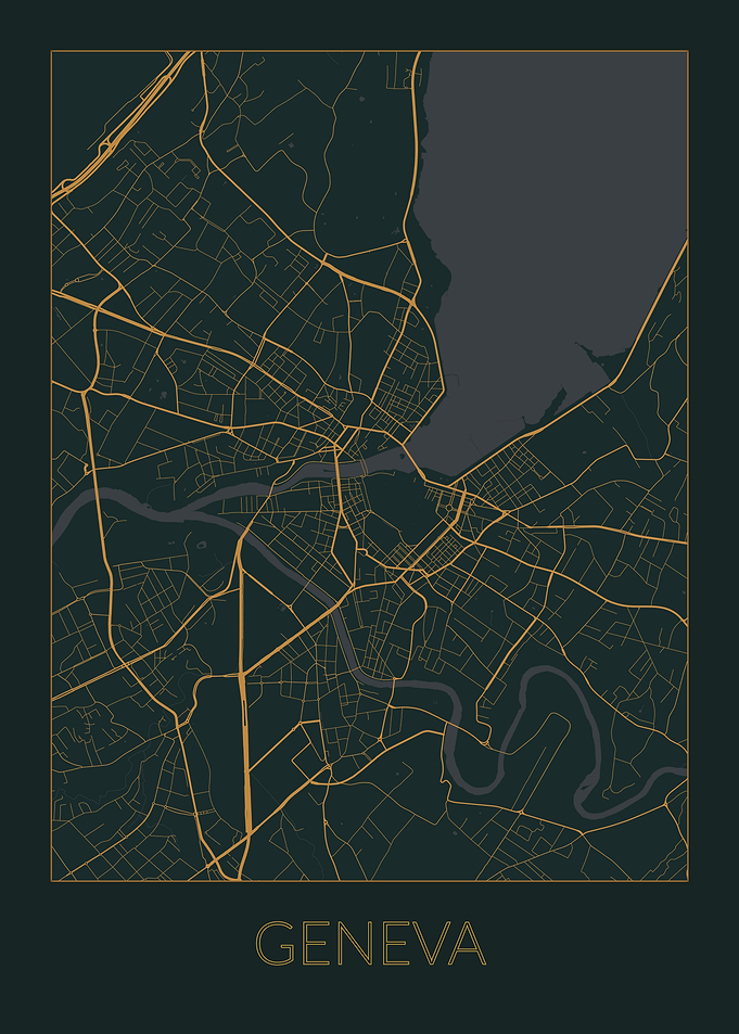 Geneva Gray Orange Map