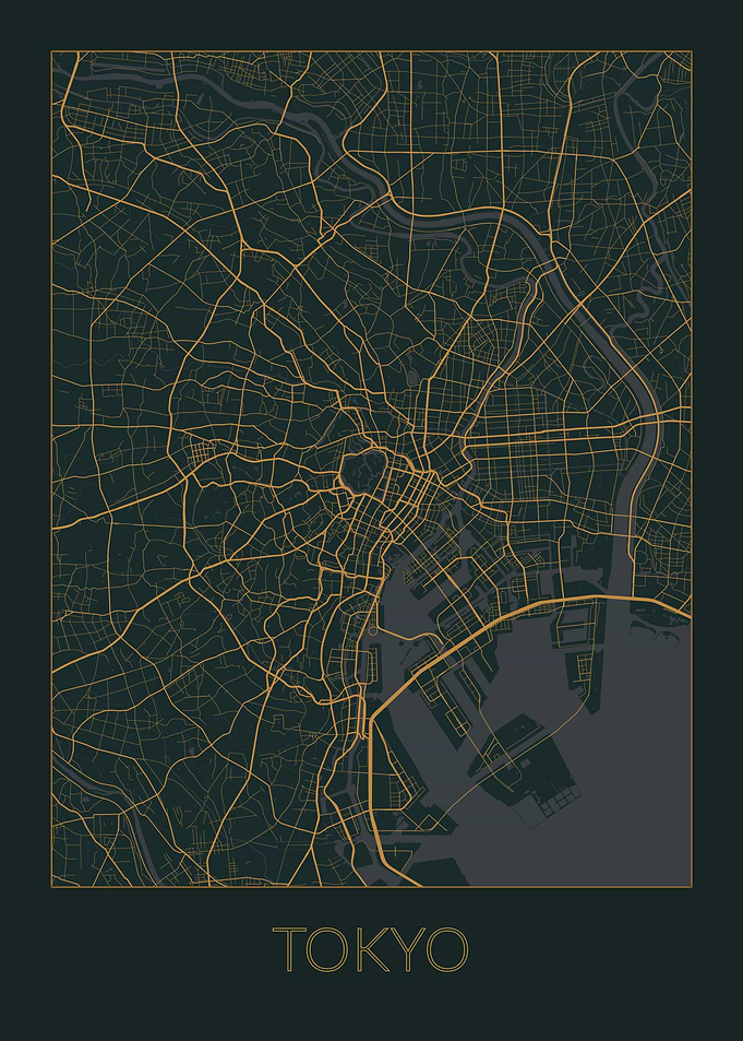 Tokyo Gray Orange Map