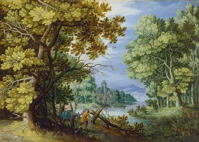 Forest Landscape
