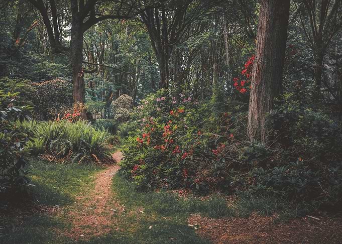A magical Stroll
