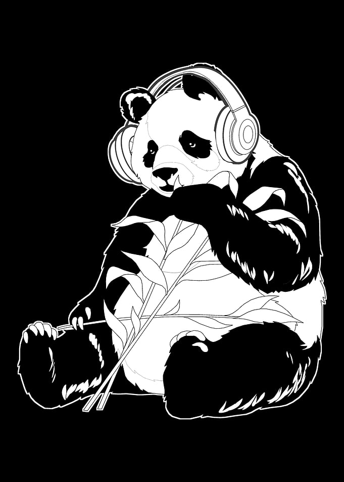 K Pop Panda