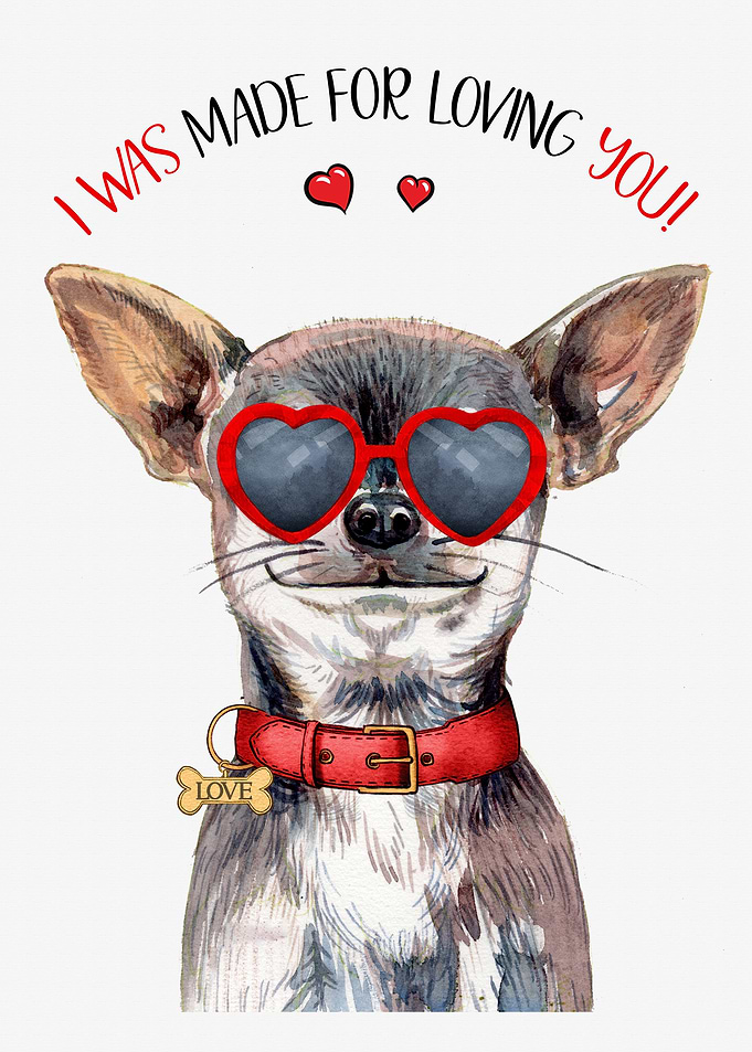 Chihuahua Dog Love