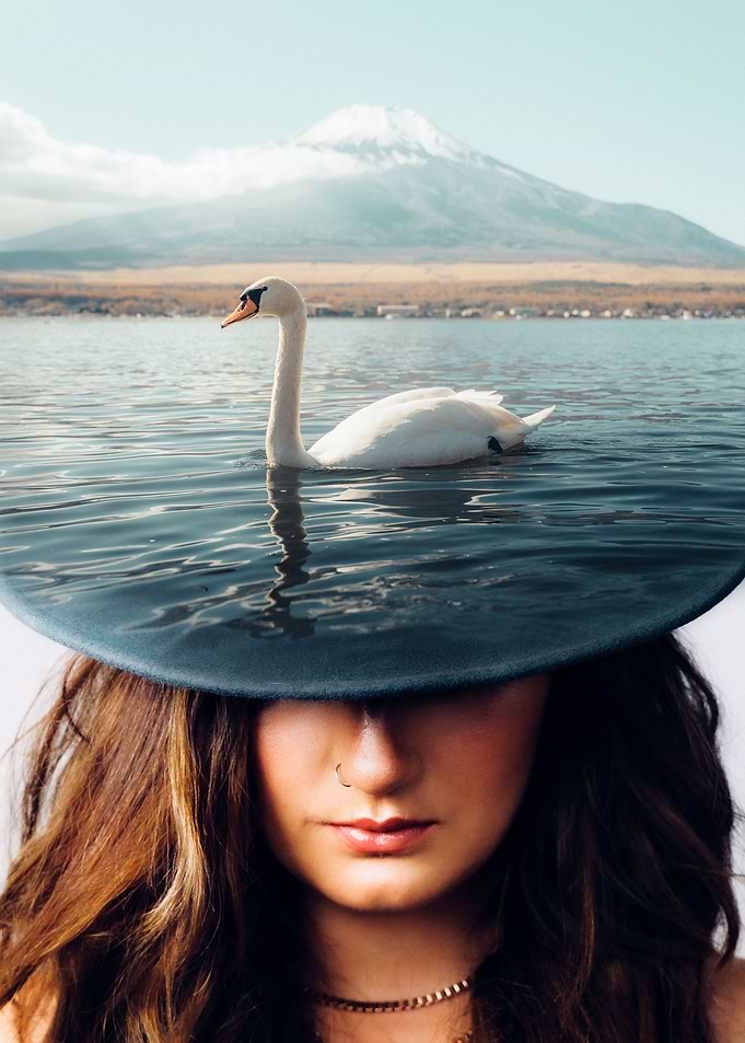 White Swan