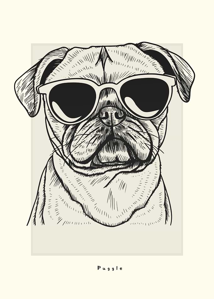 Puggle Illustration
