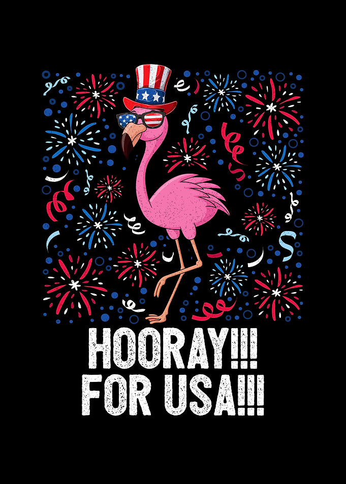 4th Of July Hooray For The