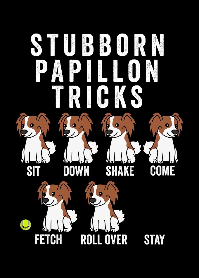 Brittany Spaniel Tricks