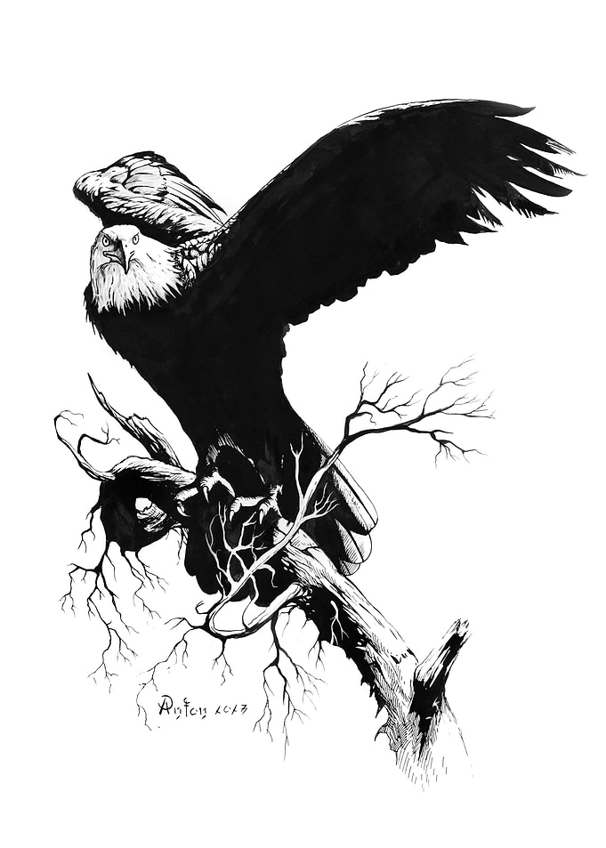 Eagle
