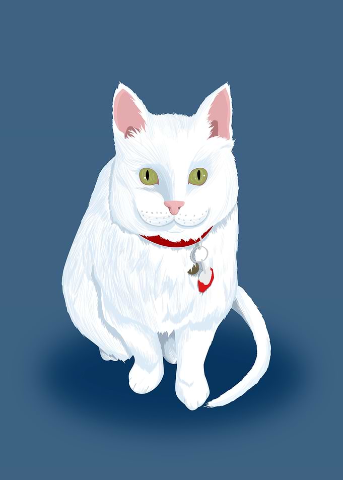The White Cat