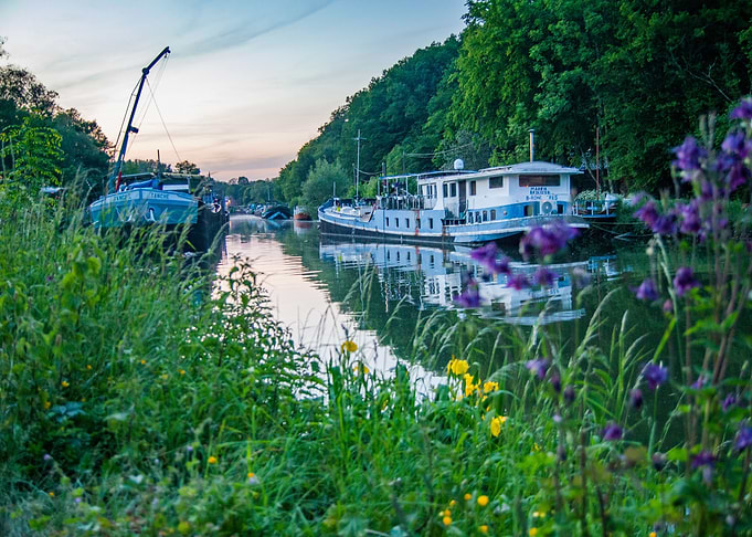 River and flowers