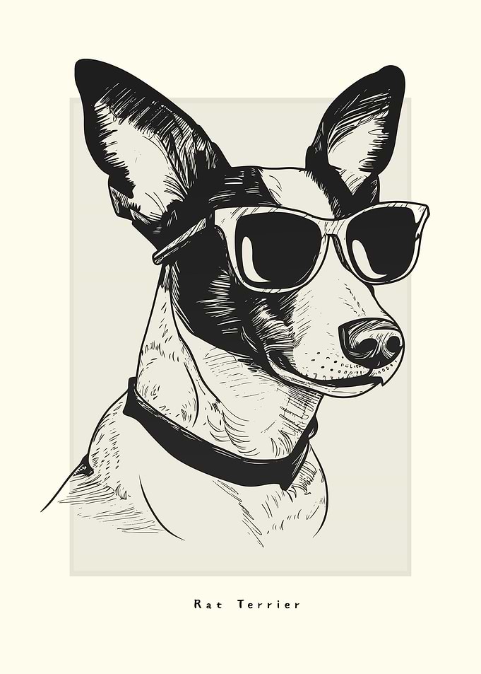 Rat Terrier Illustration