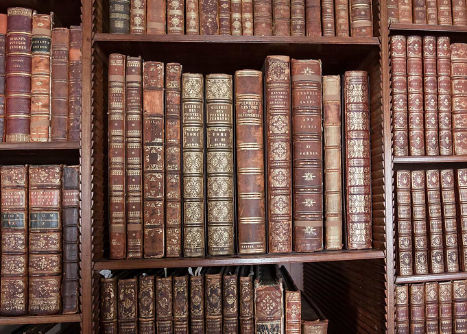 Old Bookshelf