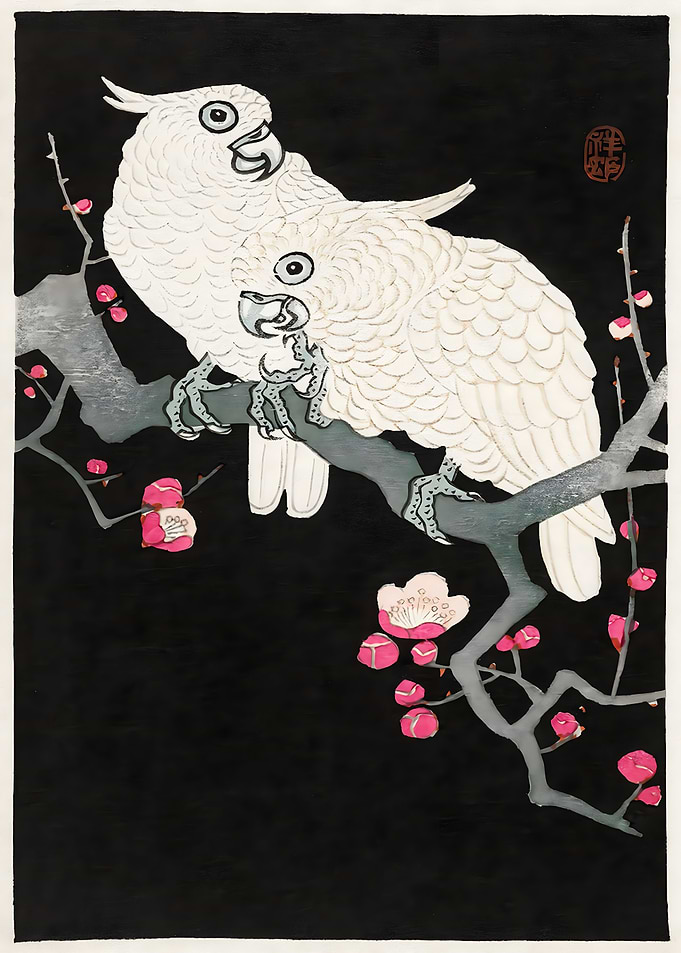ockatoo and plum blossom