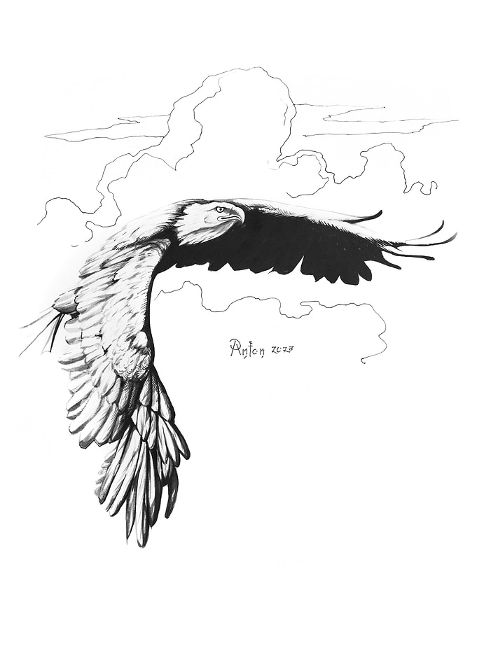 Eagle