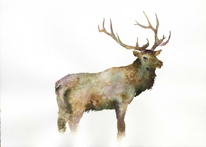 Elk watercolor painting