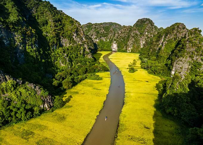 Beauty of ripen rice field