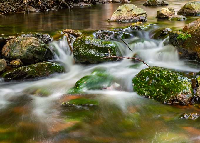 Waterways and branches