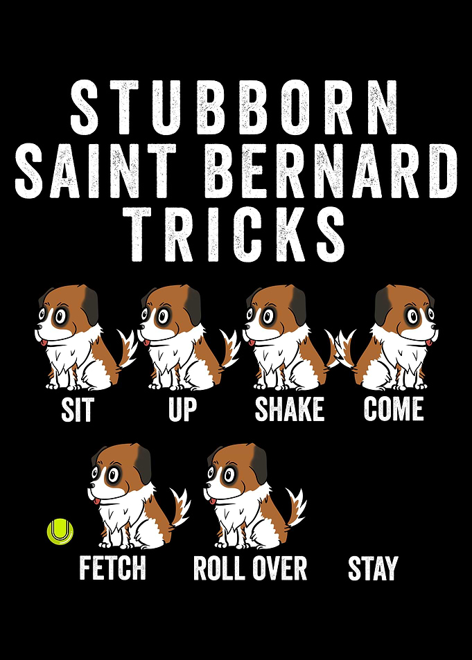 Saint Bernard Tricks