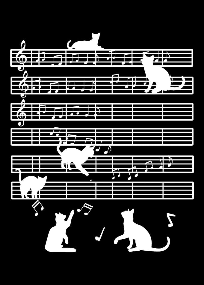 Cat Playing Music Maestro