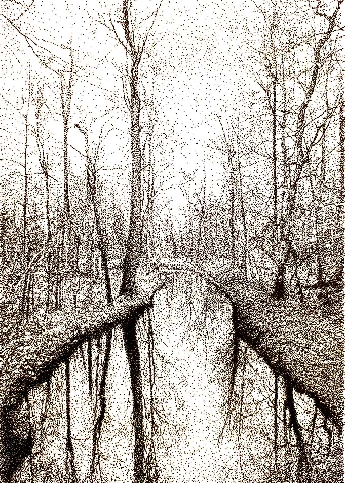 Palude Swamp