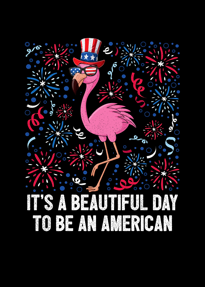 4th Of July Its A