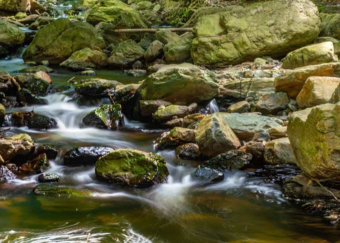 A timid thread of water